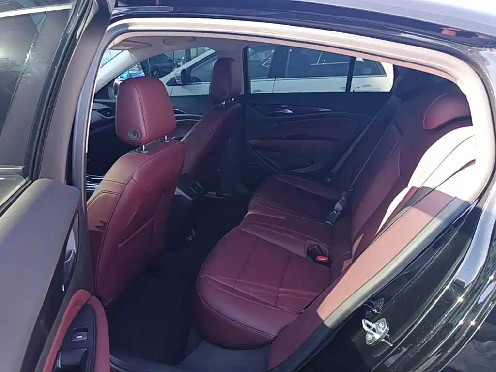 Buick Regal — миниатюра 17