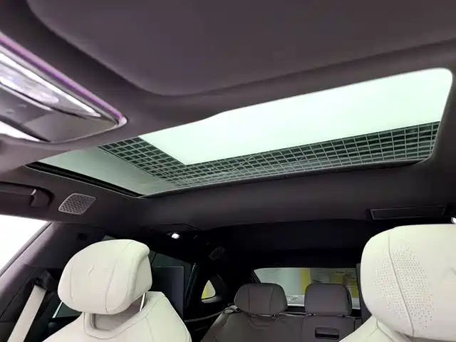 Denza Denza Z9 — миниатюра 10
