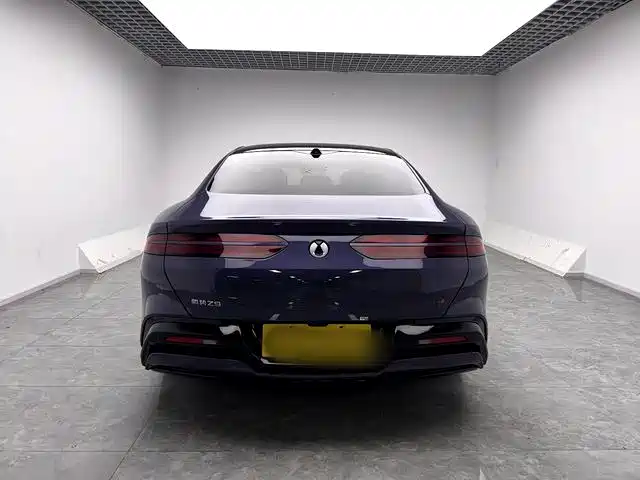Denza Denza Z9 — миниатюра 11
