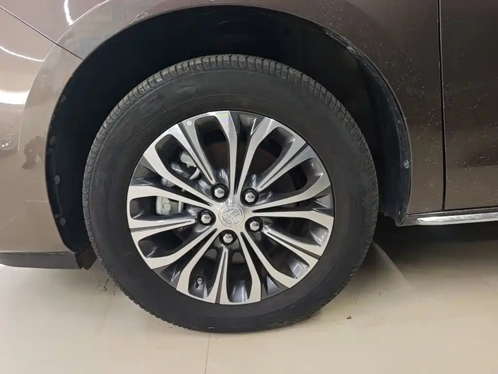 Buick GL8 — миниатюра 25
