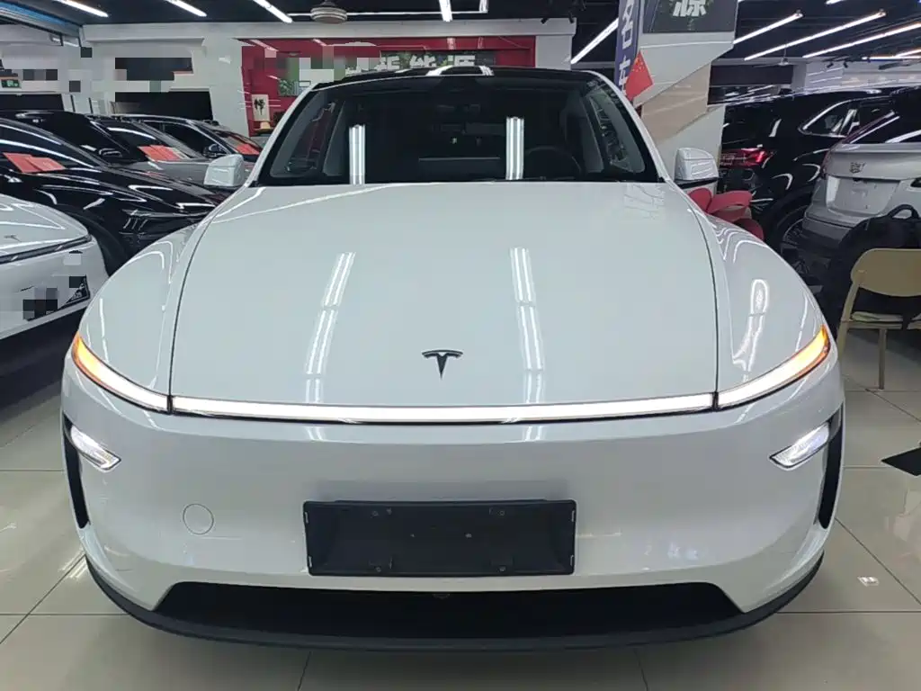 Tesla Model Y — миниатюра 3