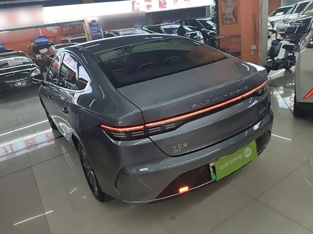 BYD Destroyer 05 2024 DM-i 55KM Luxury