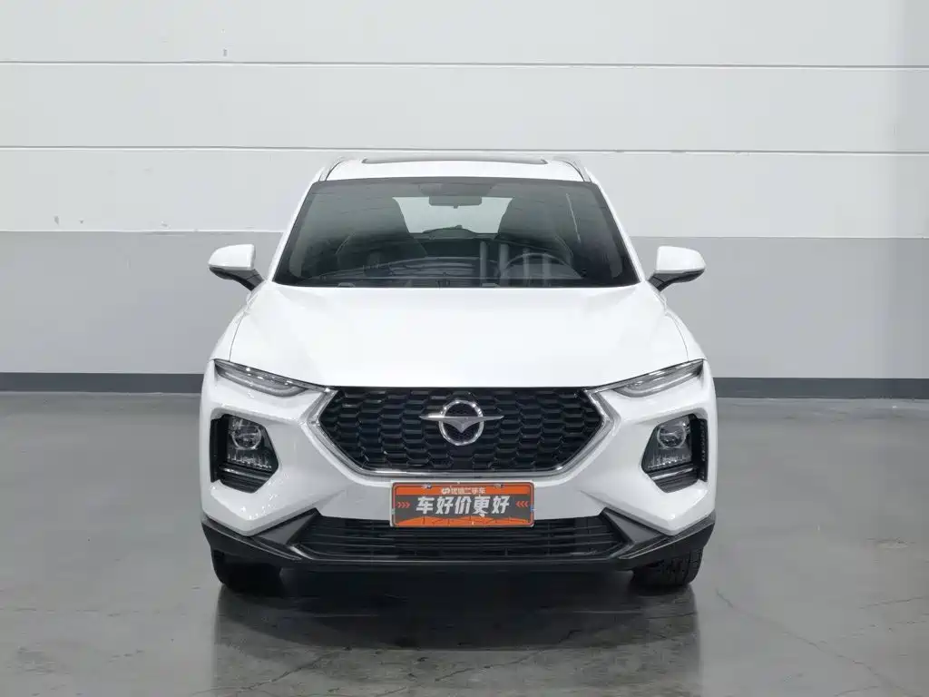 Haima Haima 8S — миниатюра 3