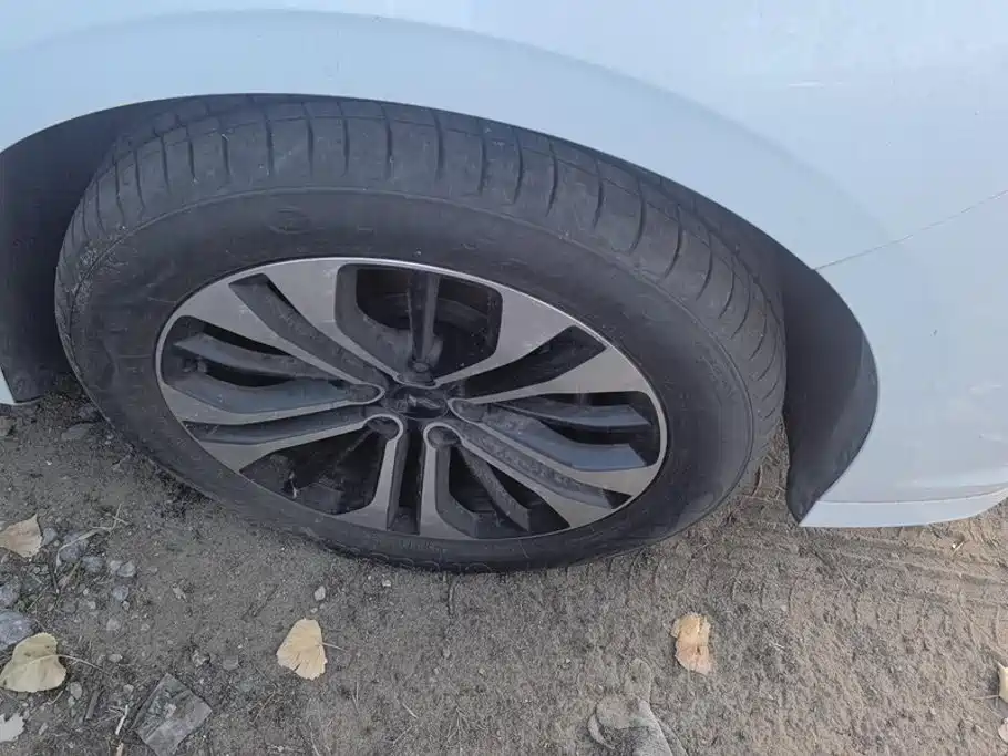 Wuling Victory 2020 1.5T CVT Flagship