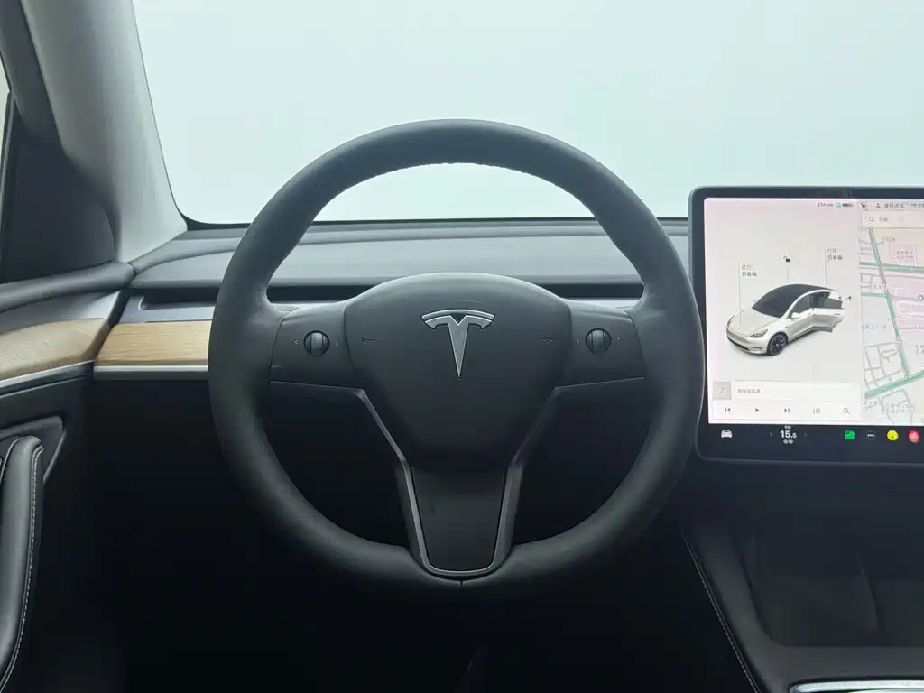 Tesla Model Y — миниатюра 7