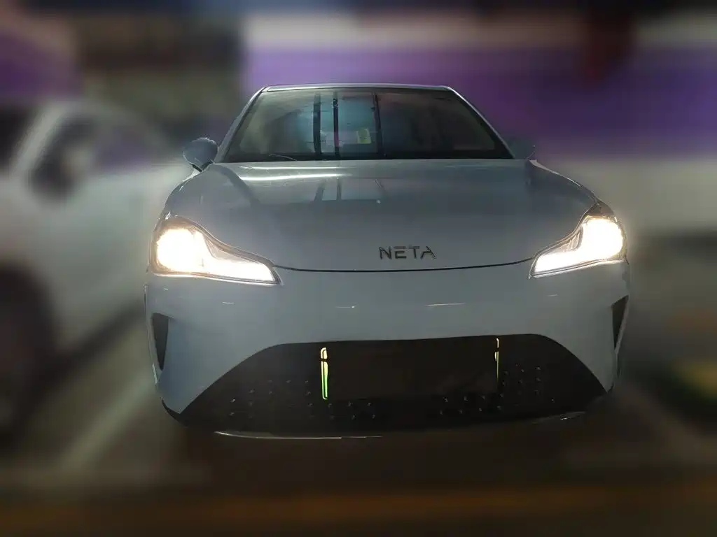 Neta Neta AYA — миниатюра 2