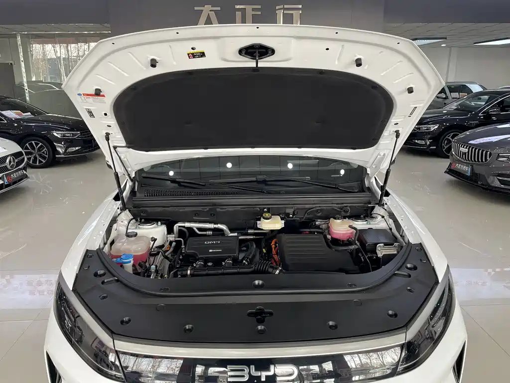 BYD SEA LION 05 DM I