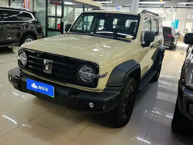 2025 TANK 300