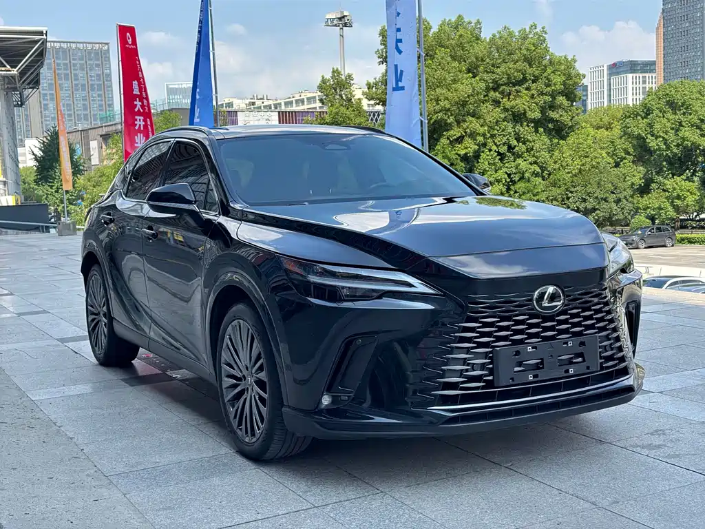 Lexus RX New Energy — миниатюра 3