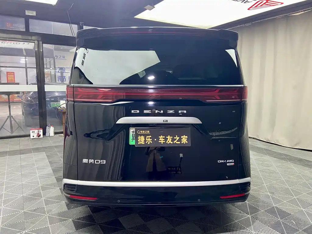 Denza Denza D9 — миниатюра 6
