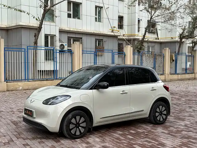 Wuling Bingo