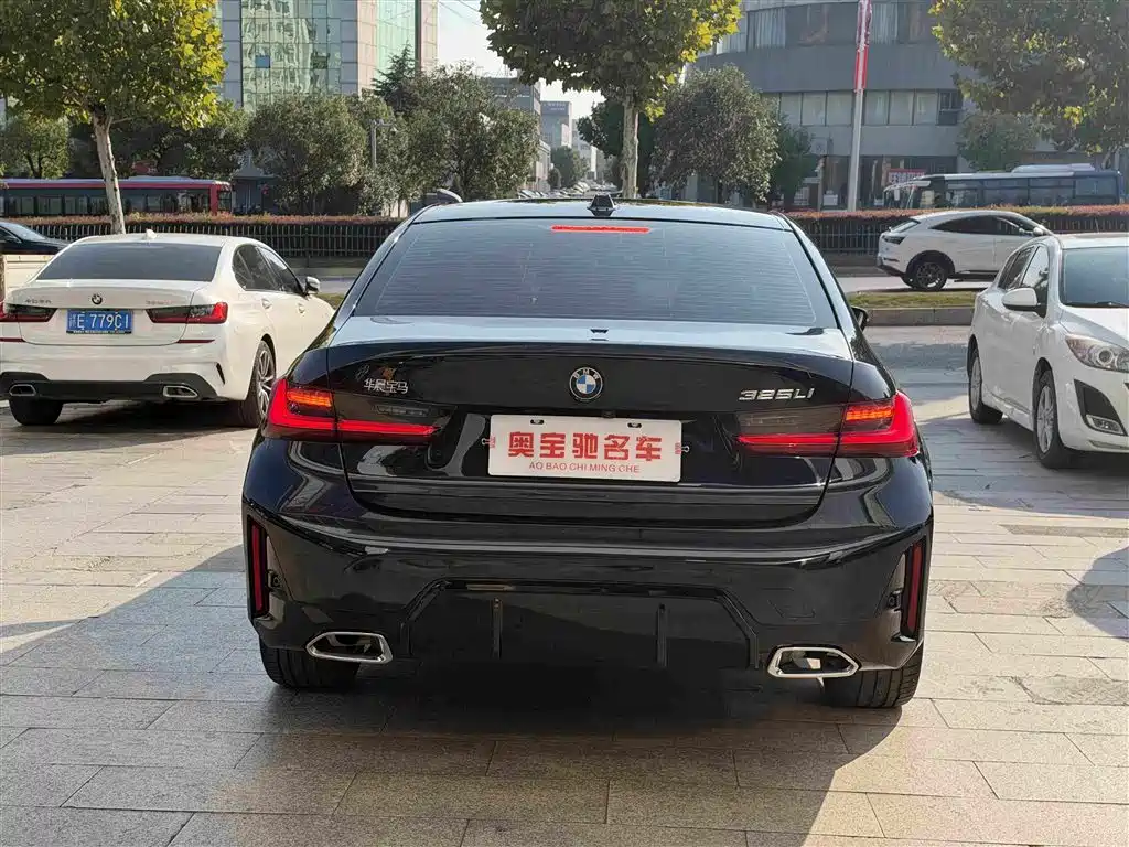 BMW 3 Series — миниатюра 8