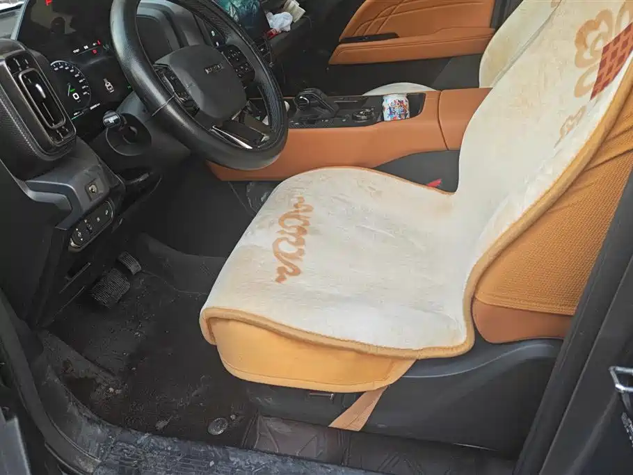 HAVAL RAPTORS NEW ENERGY