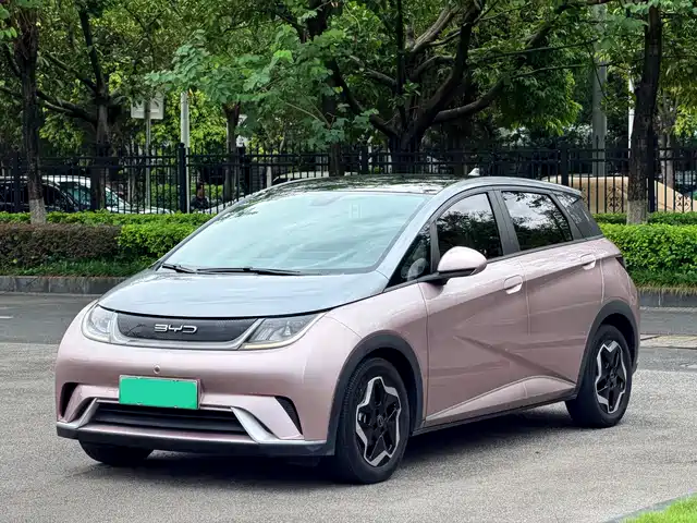 2022 BYD Dolphin