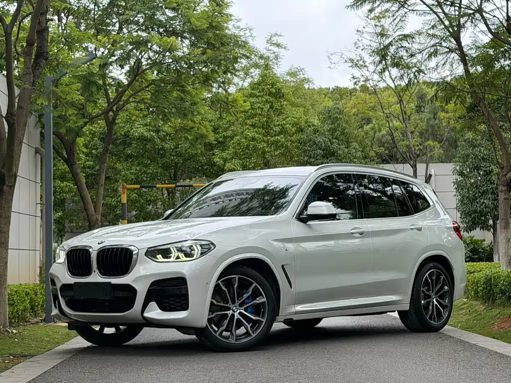 BMW X3 2020 xDrive30i Lead M Sport