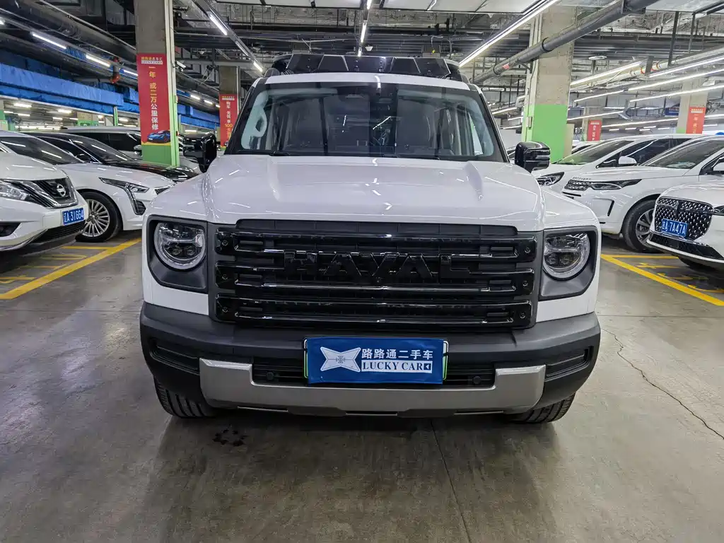 HAVAL RAPTORS NEW ENERGY