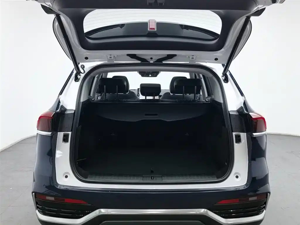 WEI PAI WEI BRAND LATTE DHT PHEV