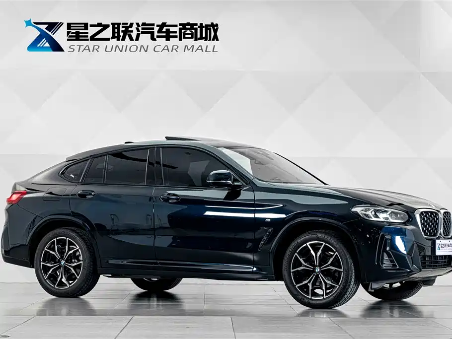BMW X4 — миниатюра 5