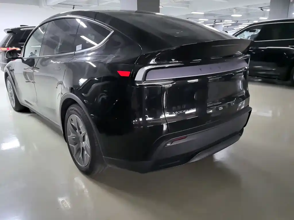 Tesla Model Y L — миниатюра 3