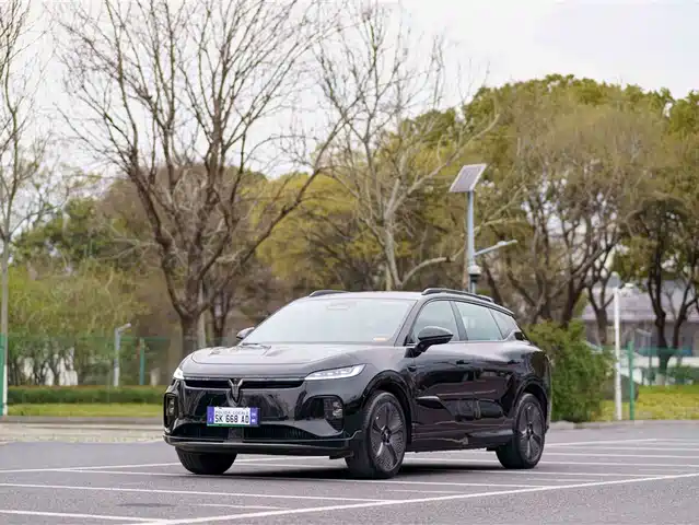 VOYAH LAN TU ZHIYIN 2024