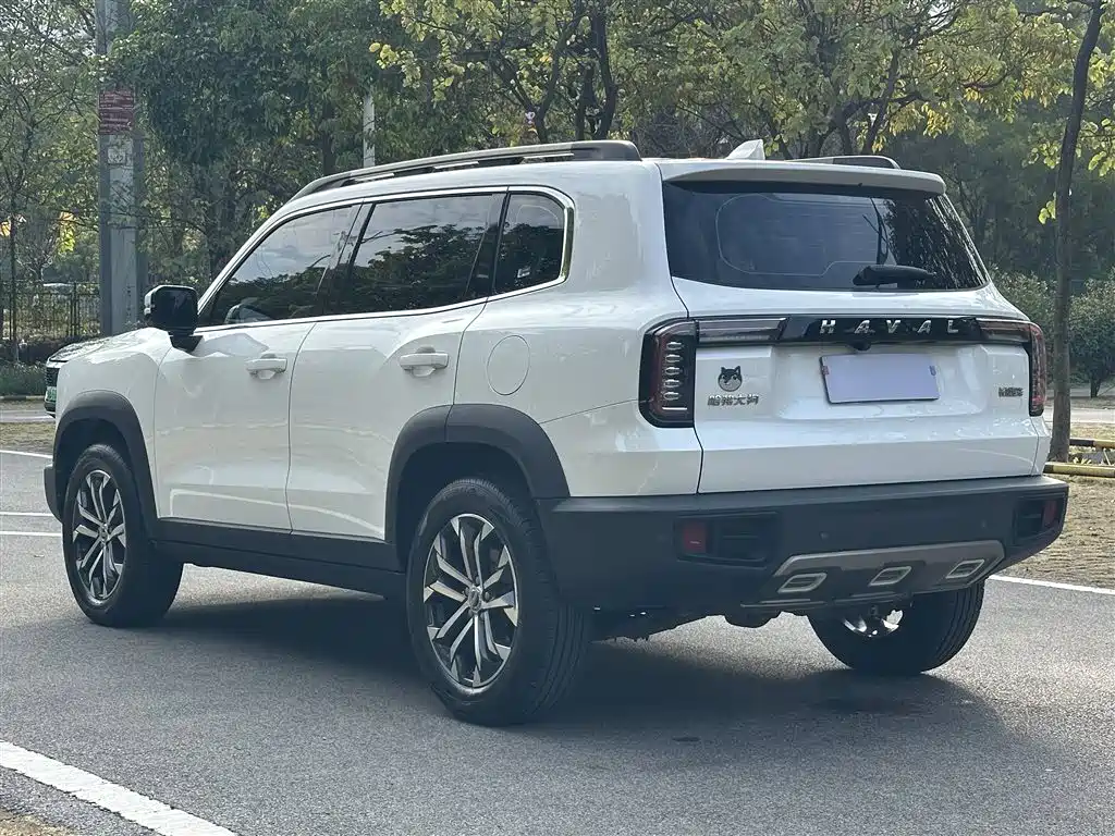 HAVAL BIG DOG