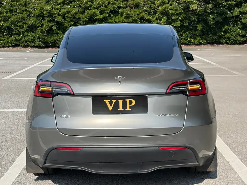Tesla Model Y — миниатюра 5
