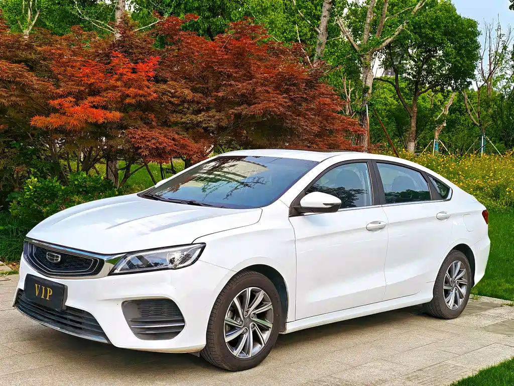 Купить Geely Binrui