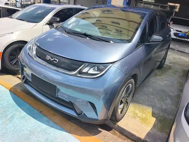 2024 BYD Dolphin