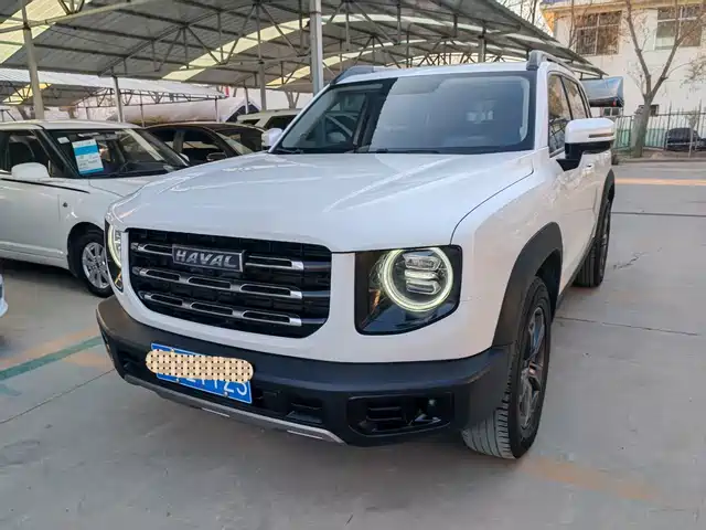 HAVAL BIG DOG