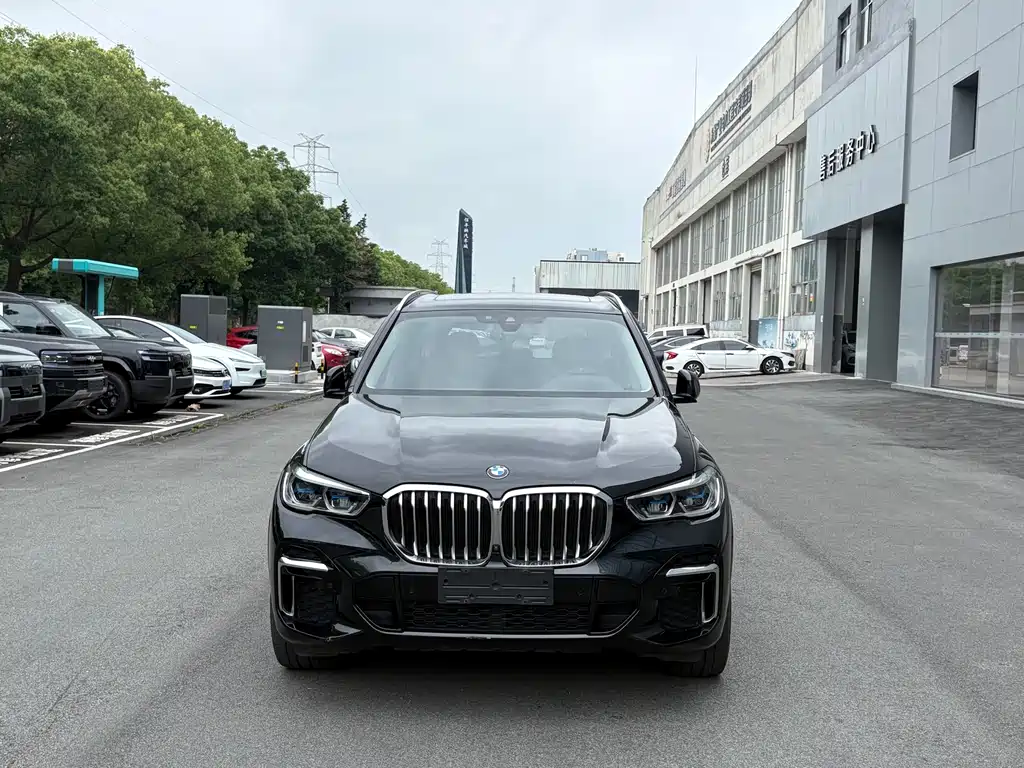 BMW X5 2022 xDrive 30Li M Sport