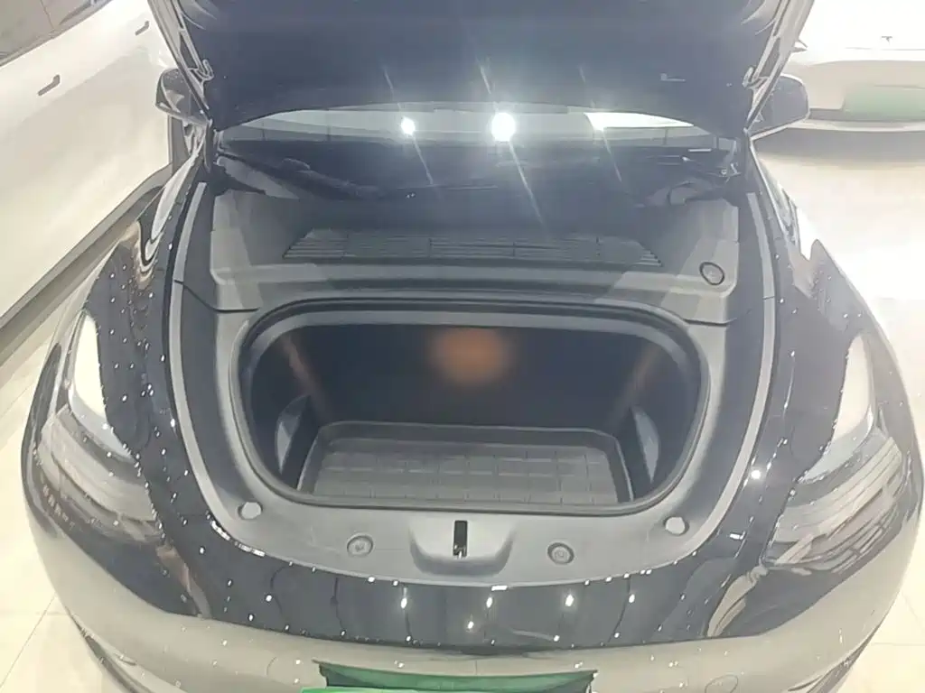 Tesla Model Y — миниатюра 20