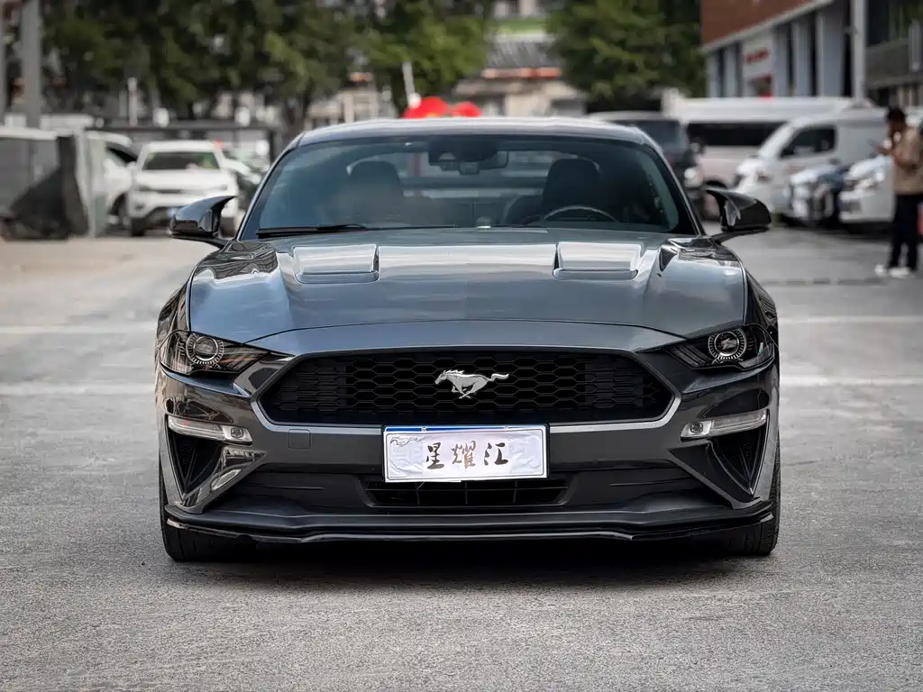 Ford Mustang — миниатюра 3