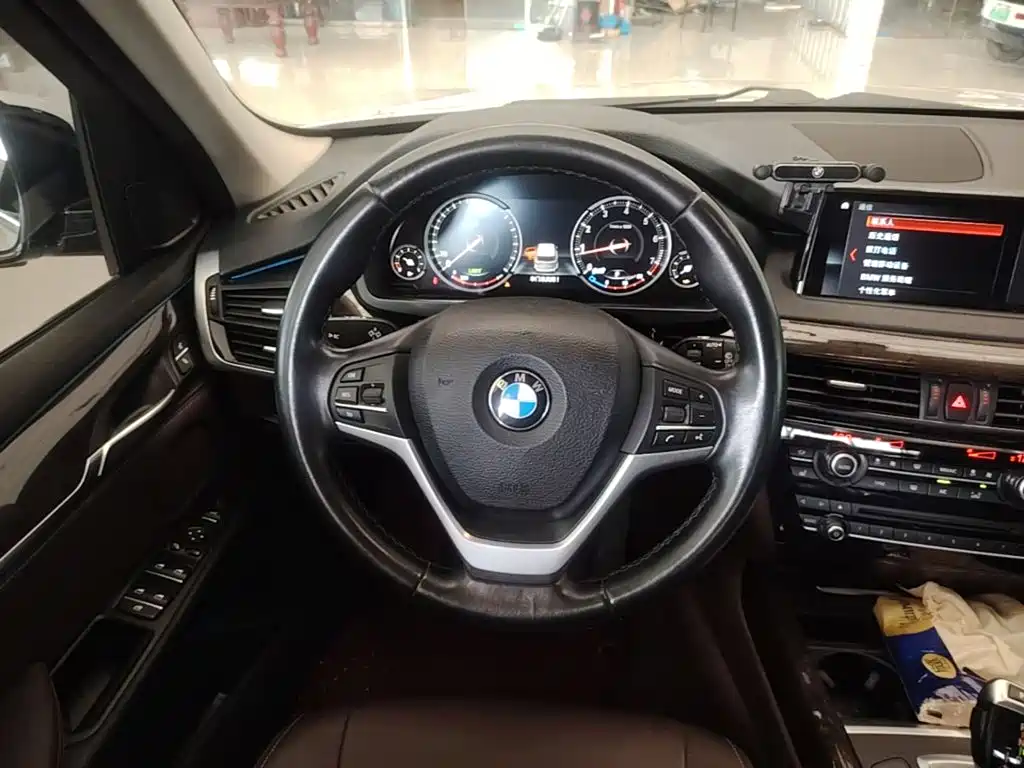 BMW X5 (Import) — миниатюра 11