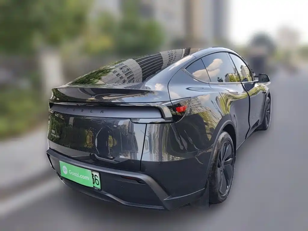 Tesla Model Y — миниатюра 6