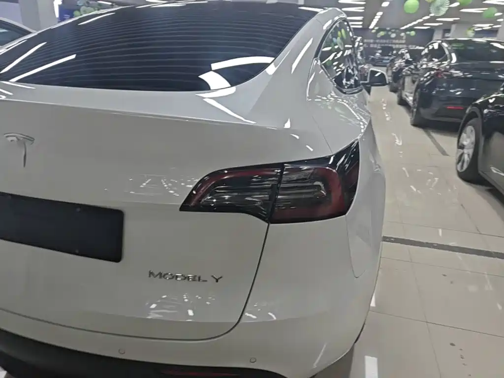 Tesla Model Y — миниатюра 8