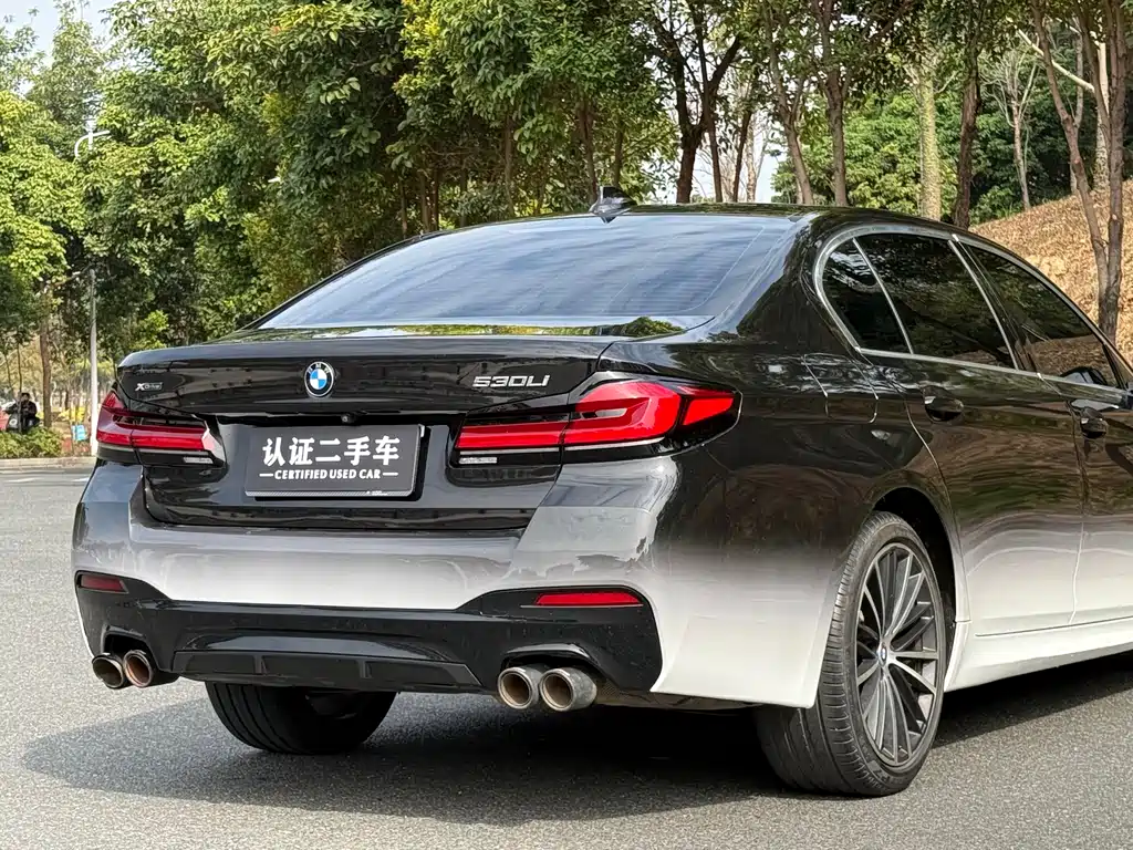 BMW 5 SERIES