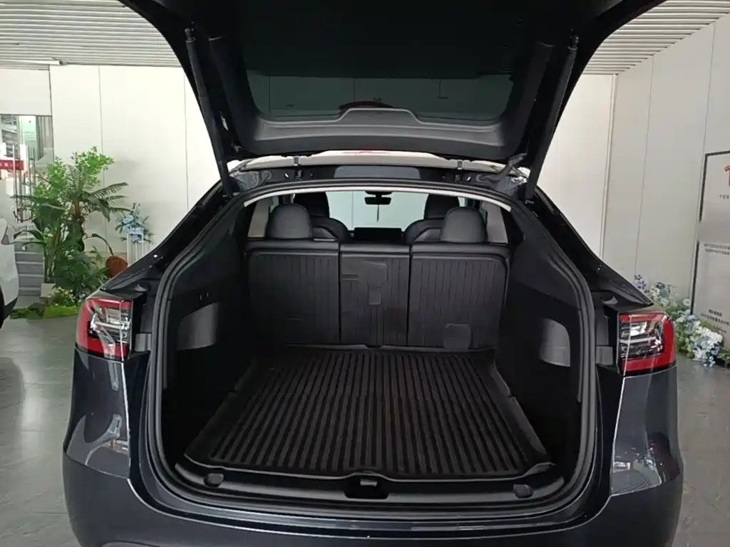 Tesla Model Y — миниатюра 19
