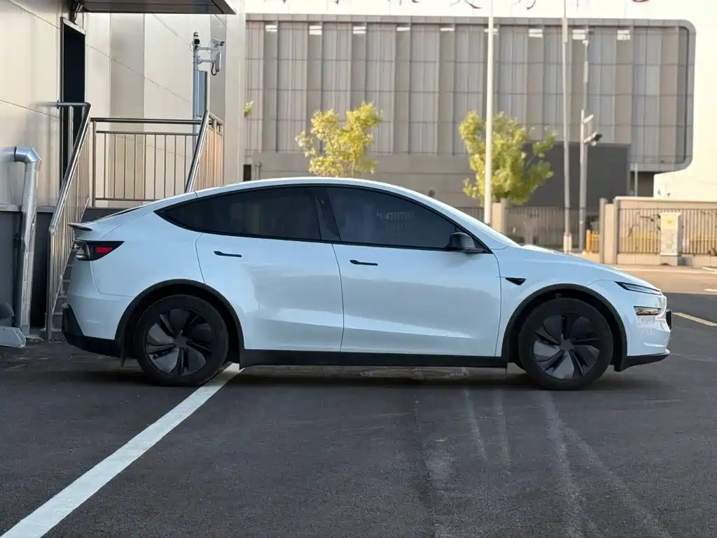 Tesla Model Y — миниатюра 4