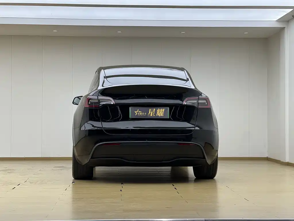Tesla Model Y — миниатюра 20
