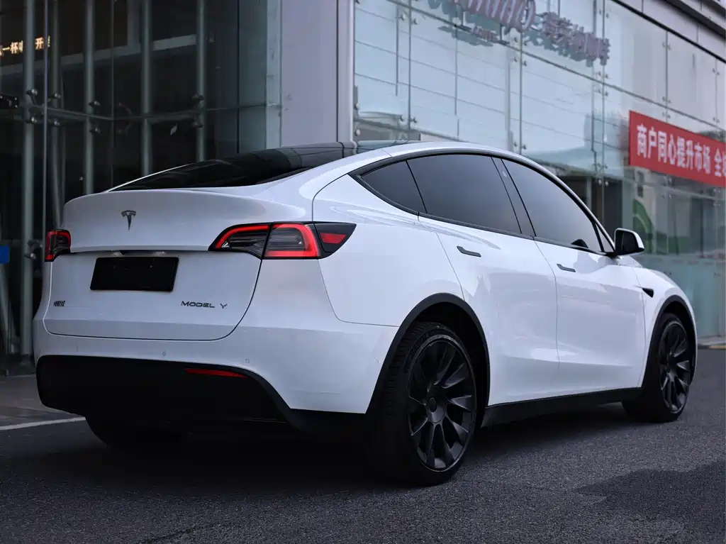 Tesla Model Y — миниатюра 5