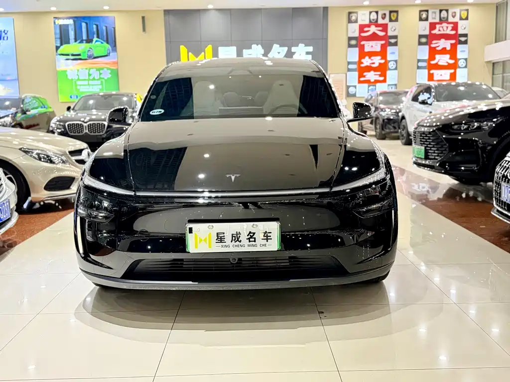 Tesla Model Y L — миниатюра 2