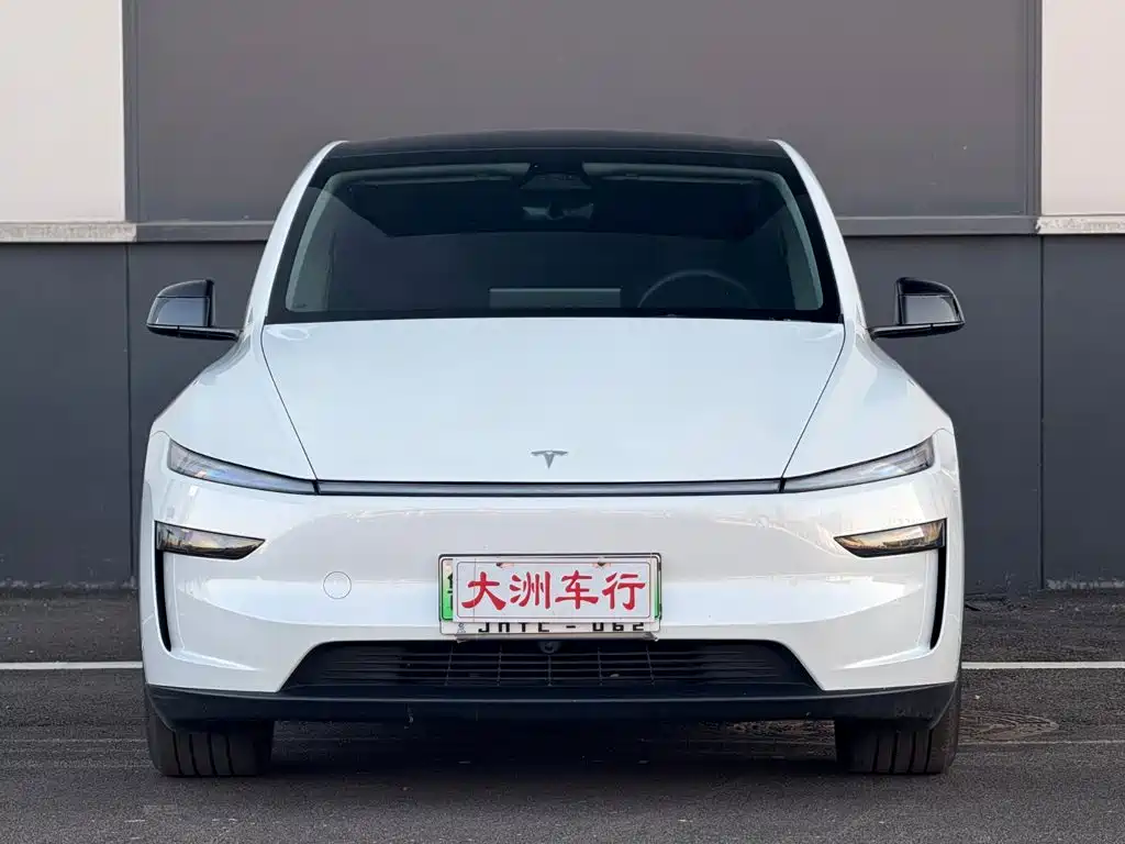 Tesla Model Y — миниатюра 2