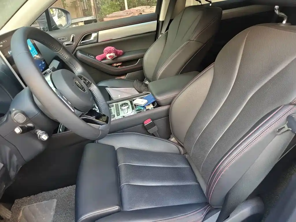 BYD Tang New Energy — миниатюра 11