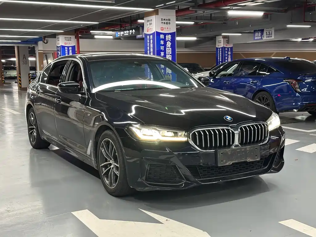 BMW 5 Series New Energy — миниатюра 3