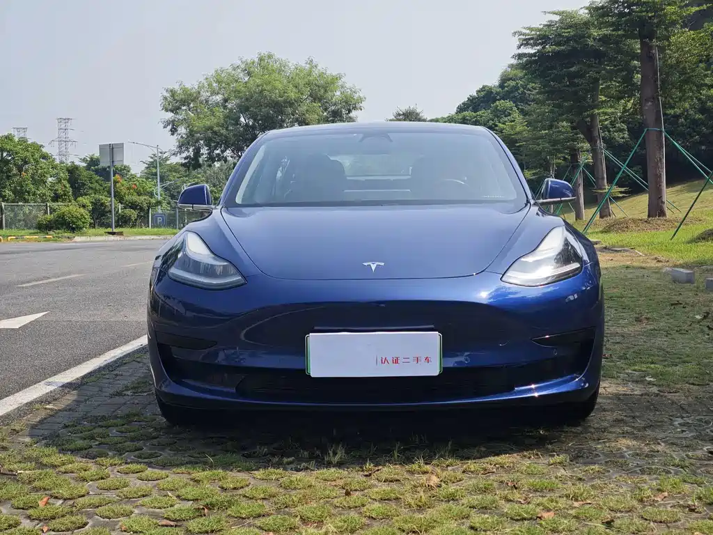 Tesla Model 3 — миниатюра 2