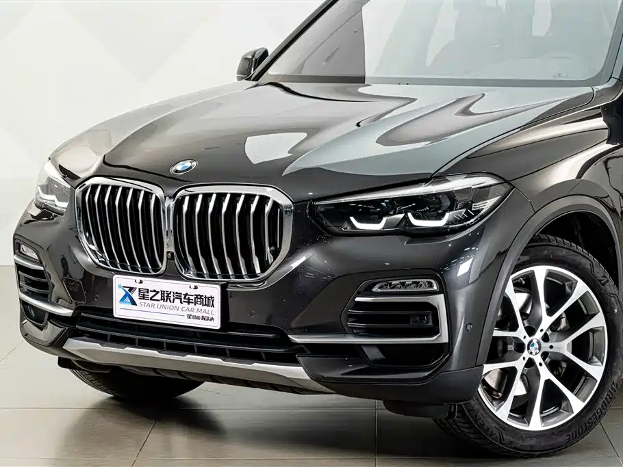 BMW X5 (Import) — миниатюра 2