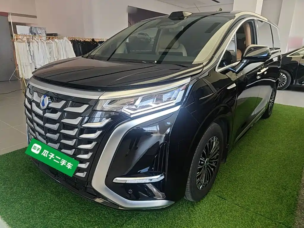 Denza Denza D9