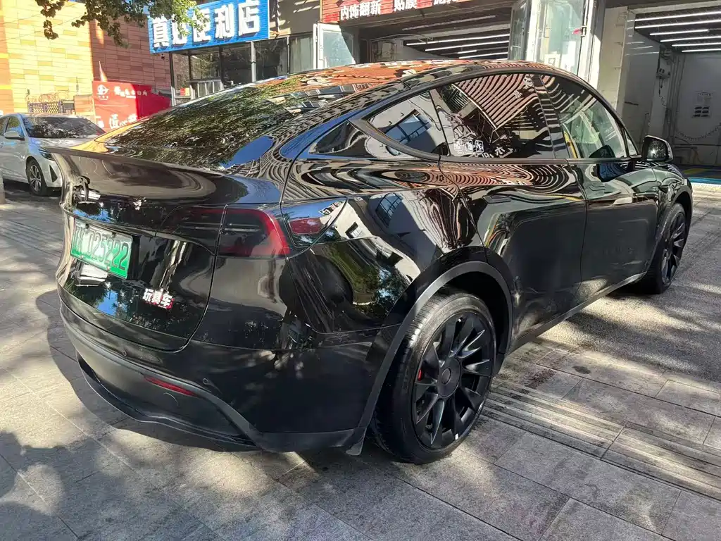 Tesla Model Y — миниатюра 4