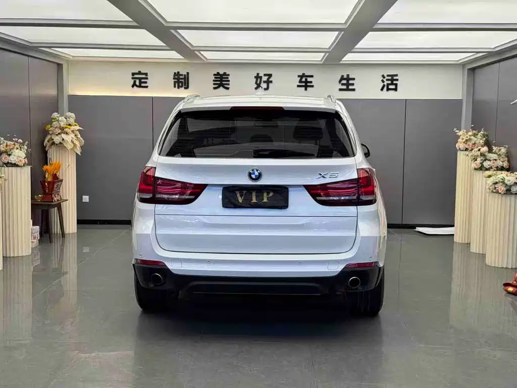 BMW X5 2014 xDrive35i Lead