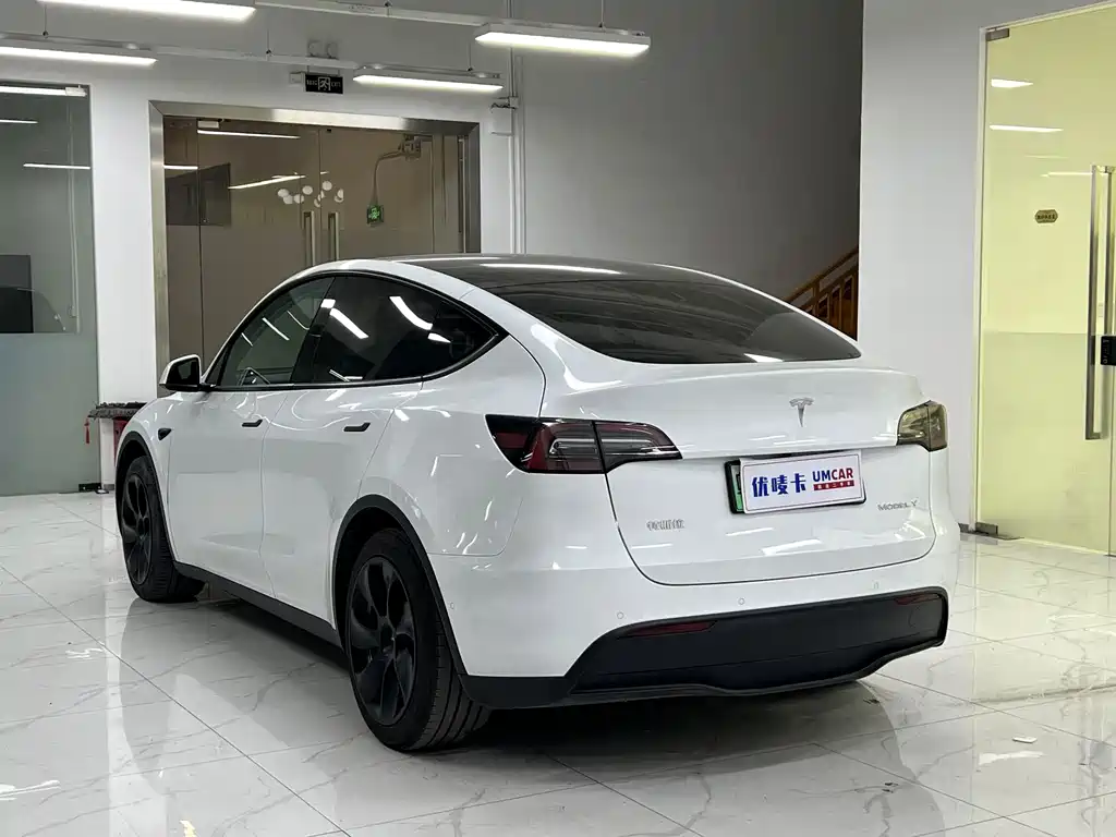 Tesla Model Y — миниатюра 4